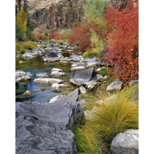USA, Oregon Fall colors along John Day River